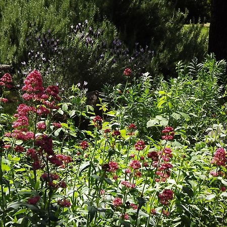 Bed and Breakfast Backyard Garden Oasis Middletown Exteriér fotografie