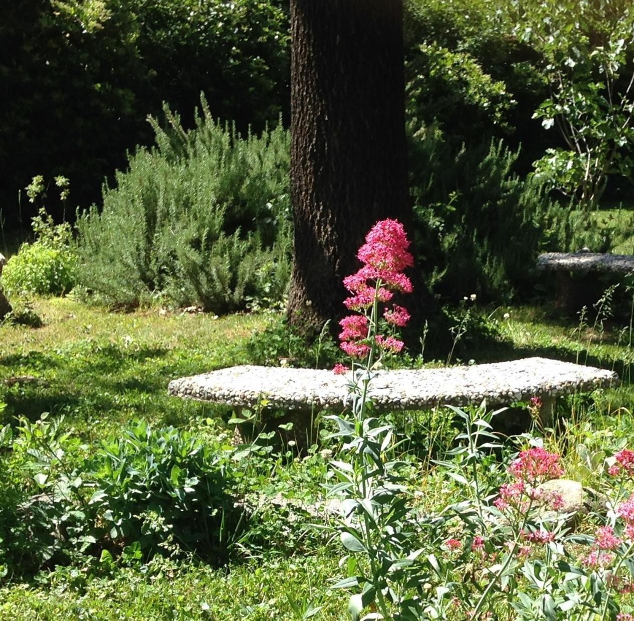 Bed and Breakfast Backyard Garden Oasis Middletown Exteriér fotografie