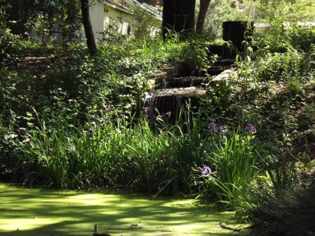 Bed and Breakfast Backyard Garden Oasis Middletown Exteriér fotografie