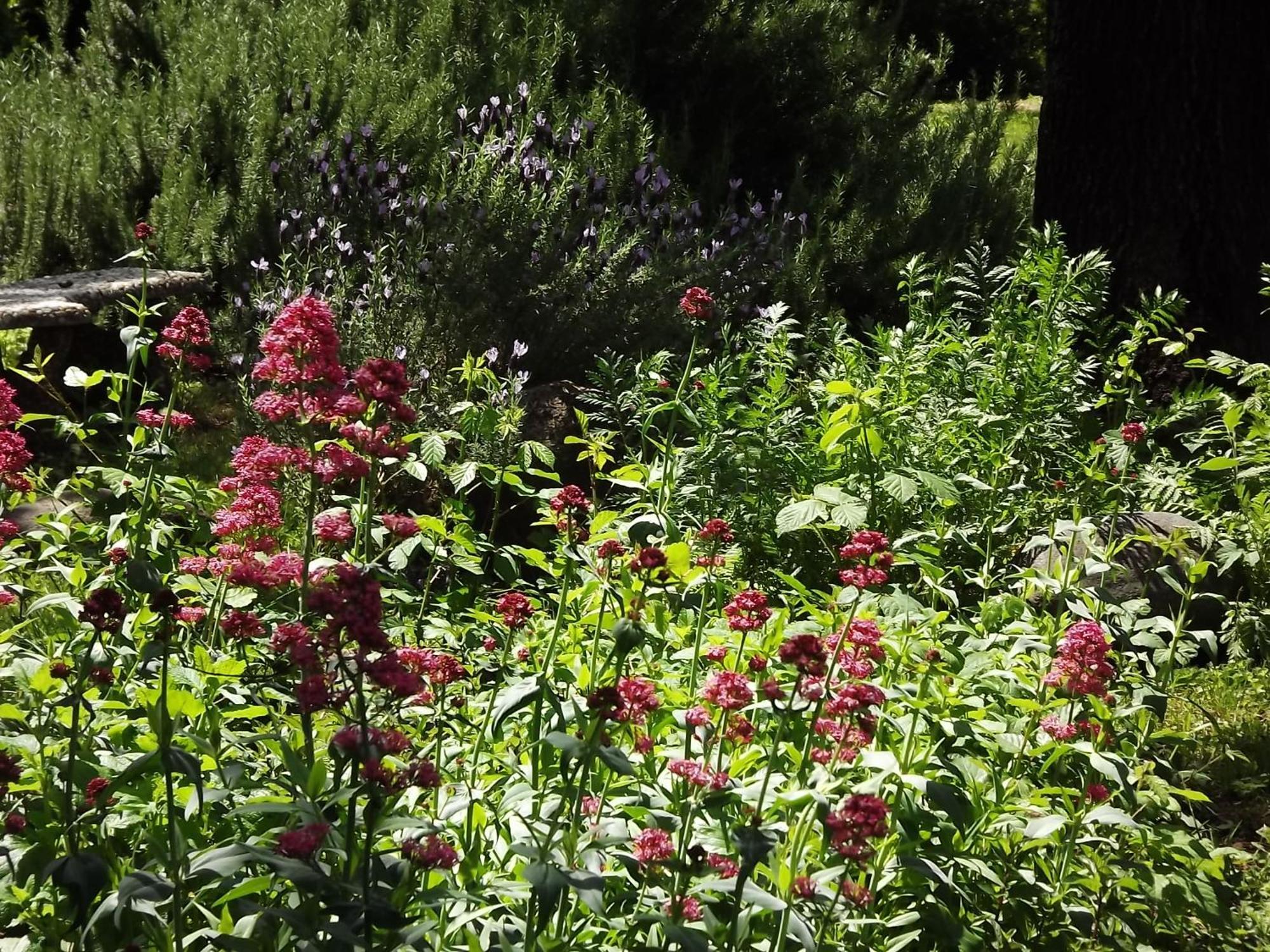 Bed and Breakfast Backyard Garden Oasis Middletown Exteriér fotografie