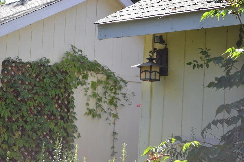 Bed and Breakfast Backyard Garden Oasis Middletown Exteriér fotografie