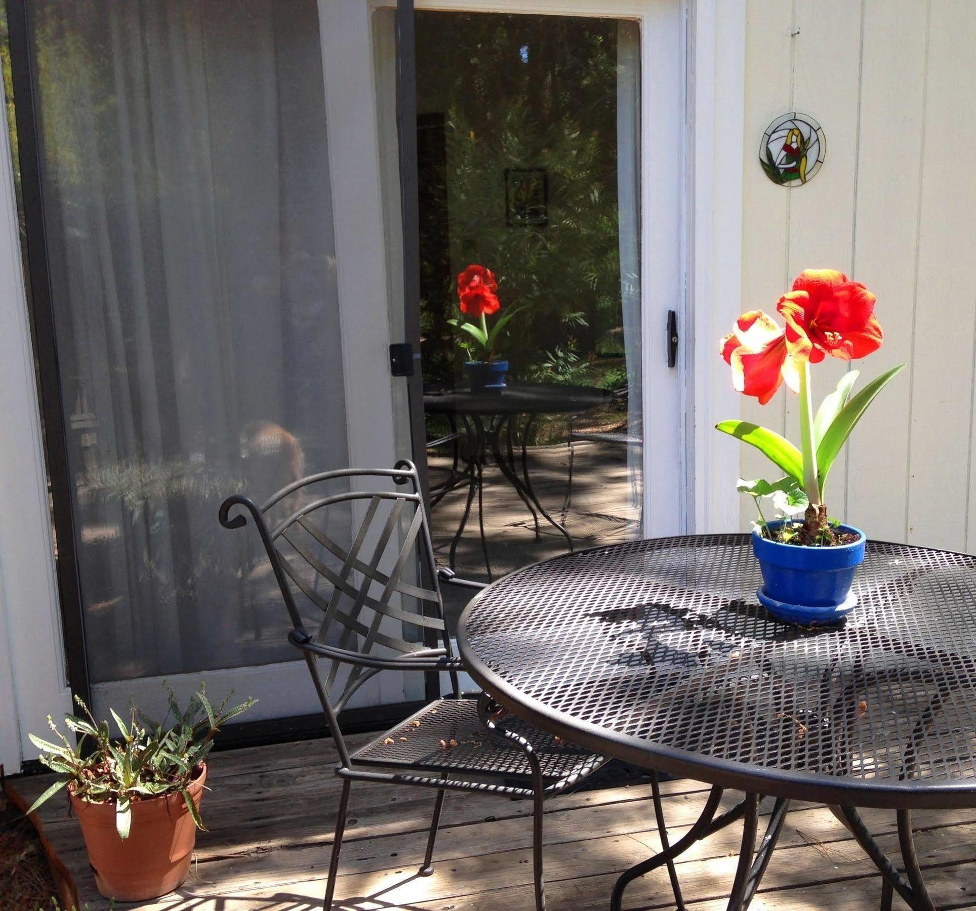 Bed and Breakfast Backyard Garden Oasis Middletown Exteriér fotografie