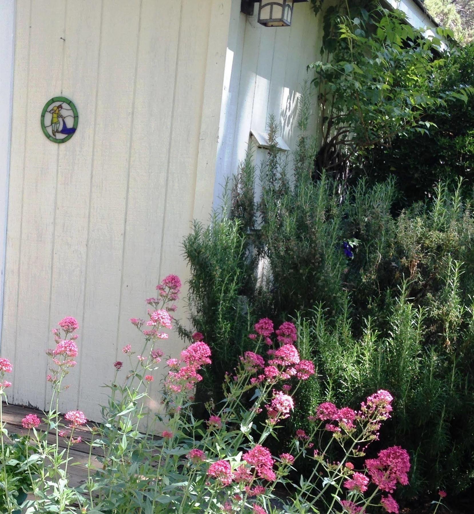 Bed and Breakfast Backyard Garden Oasis Middletown Exteriér fotografie